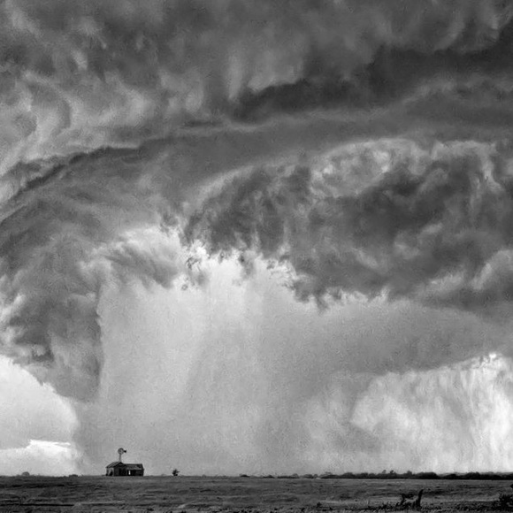 Meet your Posher, Darlene - Picture 13 of 14